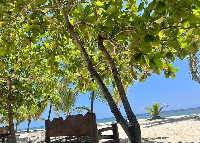 Waves And Wanderlust-Diani Beach