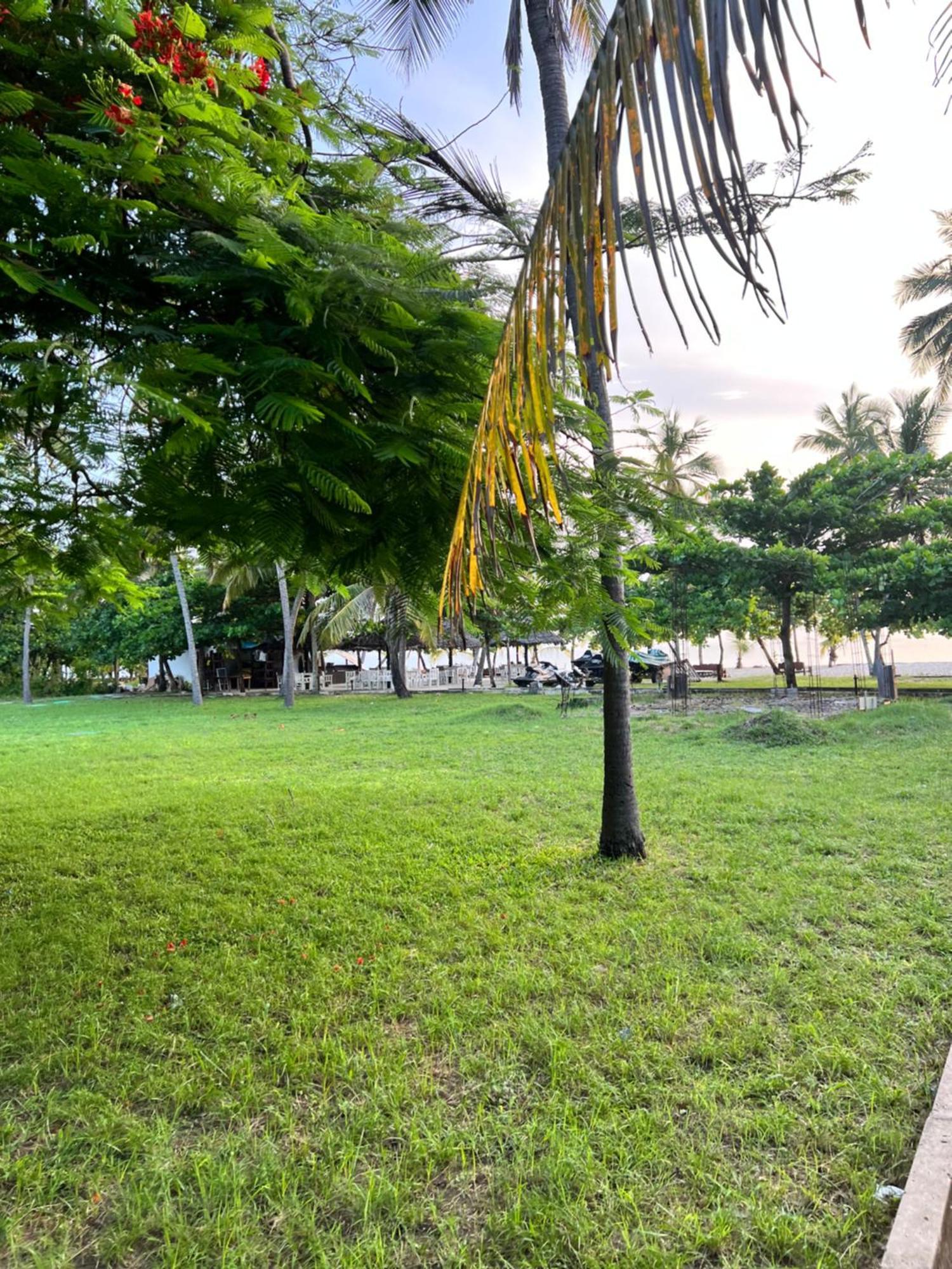 Waves And Wanderlust-diani * Diani Beach