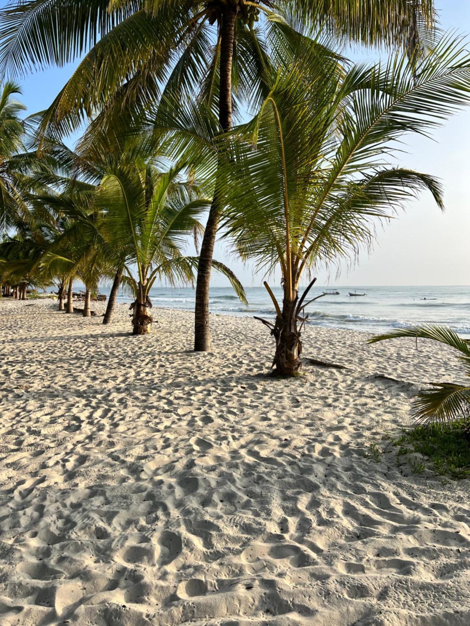 Waves And Wanderlust-diani Appartement *