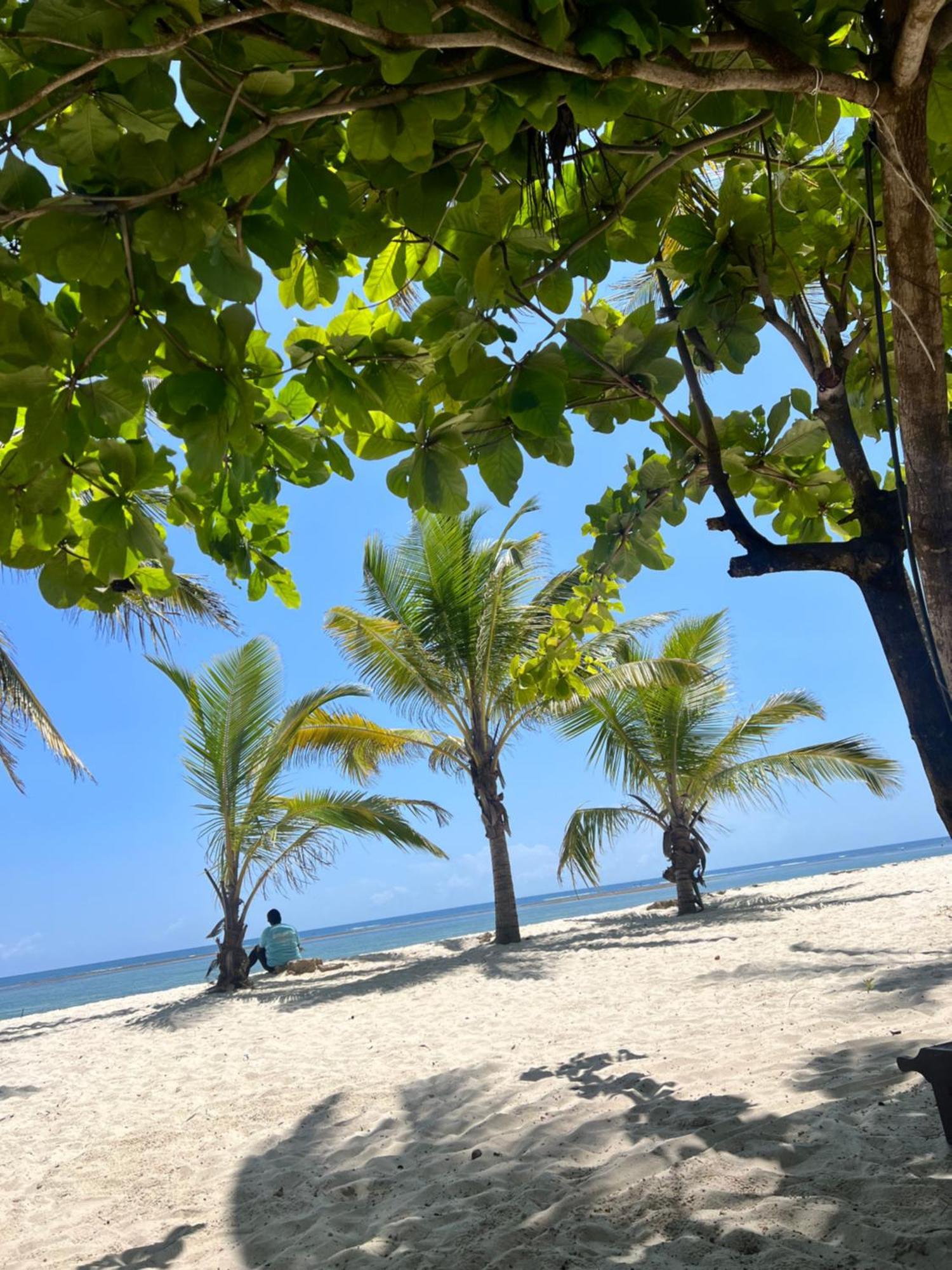 Appartement Waves And Wanderlust-diani *