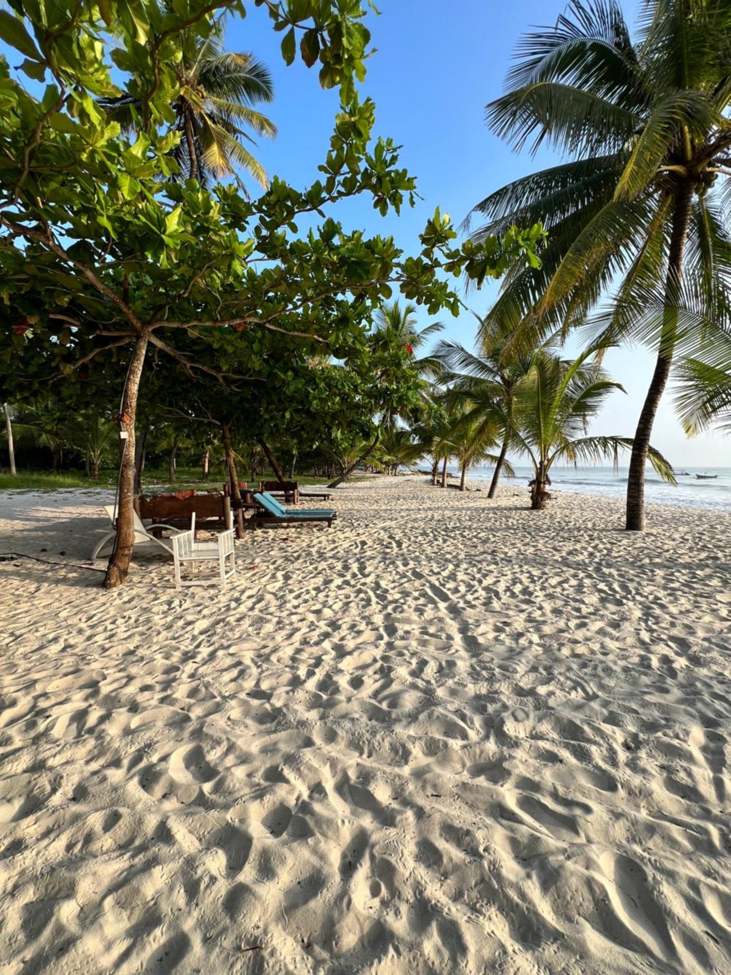Appartement Waves And Wanderlust-diani