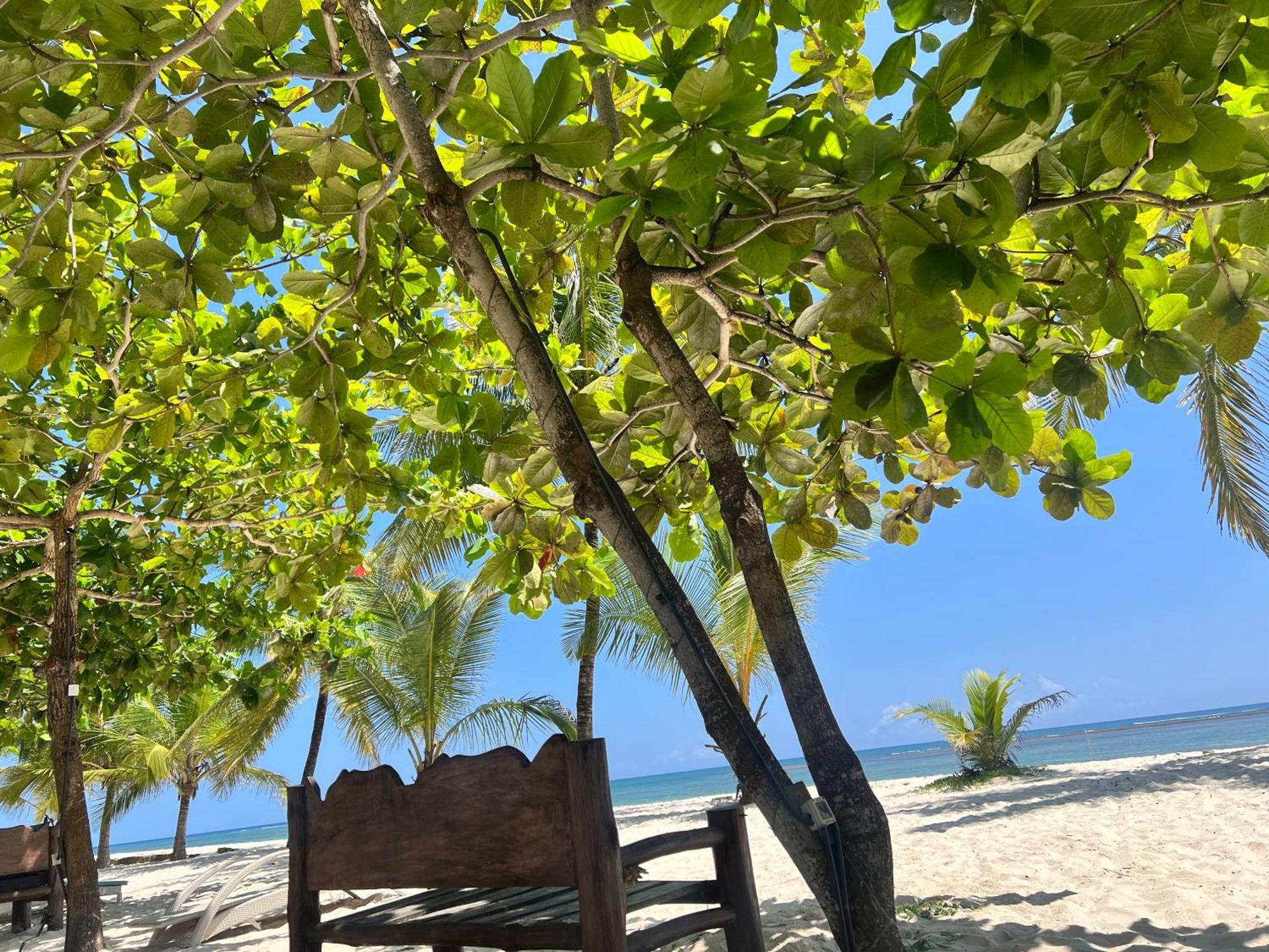 Waves And Wanderlust-diani Diani Beach